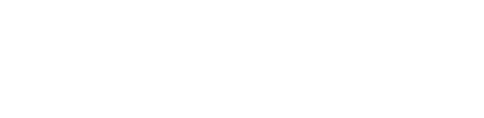 Valorant Official Logo